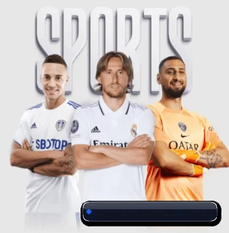 ayan-mgsports.com.cn围绕看球场景设计的核心服务 - 多运动项目内容板块